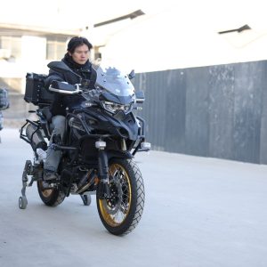 BMW K1600 Smart Stabilizer Kit